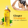 Ginger Shampoo for Anti Dandruff 500ml